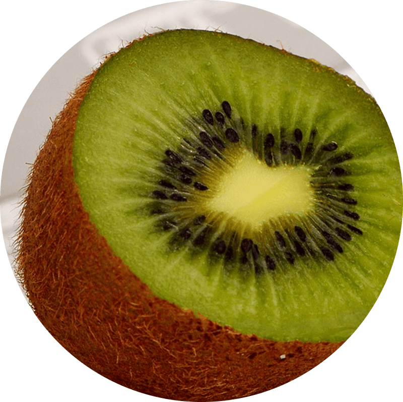 Pączek z kiwi