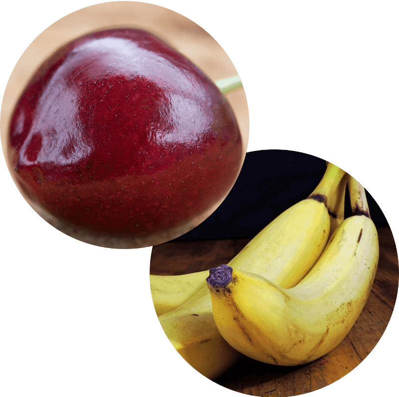Pączek z wiśnia i bananem